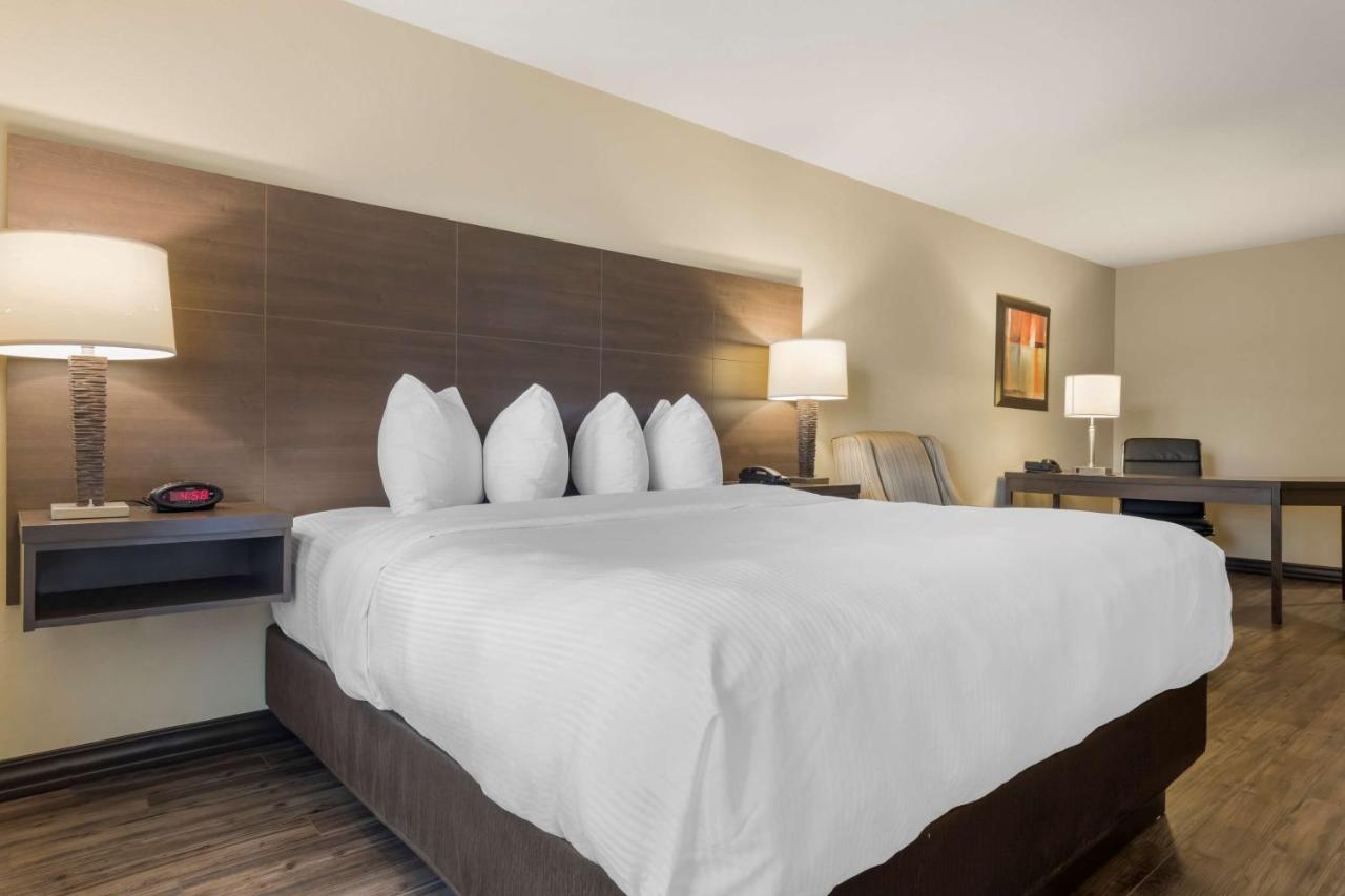 Best Western Plus Saint John Hotel & Suites Bagian luar foto